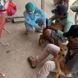 กิจกรรมรณรงค์ฉีดวัคซีนป้องกันโรคพิษสุนัขบ้า ตามโครงการสัตว์ปลอดโรค คนปลอดภัยจากโรคพิษสุนัขบ้า